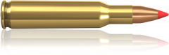 .222 Rem 40 V-Max