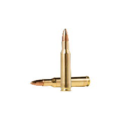 .222rem 3.6g fmj