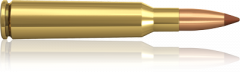 Norma 6.5x55 7.8g BST 1.60Ls