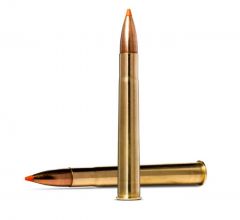 9.3x74R 16.5g Tipstrike 