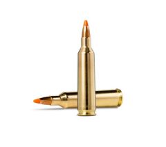 22-250 rem 3.6g/55gr tipstrike varmint