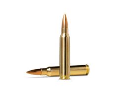 .222 rem 4.5g/69gr golden target 