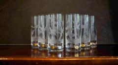 Soft drinks glasses with birds 6 pcs.