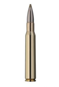 .30-06 9g/139gr evo green