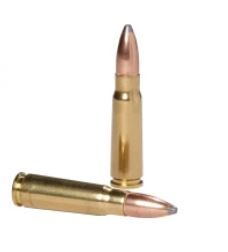 .223 rem 3.6g/55gr power-shok jacketed soft point
