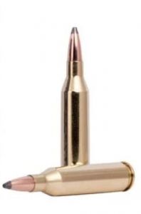 .243 win 5.2g/80gr power-shok jacketed soft point