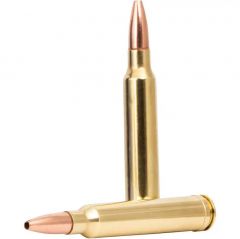 .300 win mag 11.7g/180gr power shok copper hp