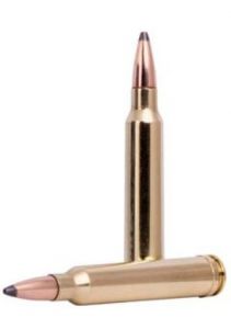 .300 win mag 9.7g/150gr power-shok jacketed soft point