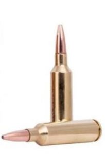 270 wsm 9.7g/150gr fusion bonded soft point