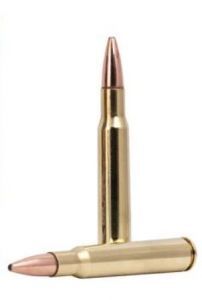 .30-06 9.7g/150gr fusion bonded soft point