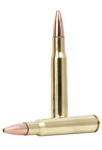 .30-06 11.7g/180gr fusion soft point