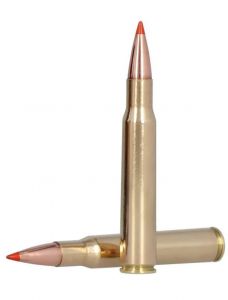 .30-06 11.7g/180gr fusion tipped