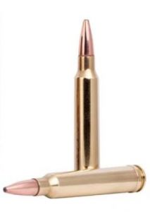 .300 win mag 10.7g/165gr fusion bonded soft point