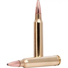 .300 win mag 11.7g/180gr fusion soft point