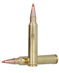 .300 win mag 11.7g/180gr fusion tipped