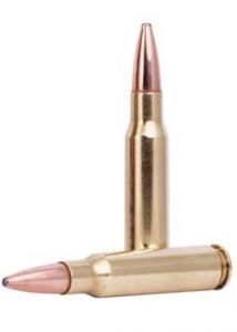 .308 win 10.7g/165gr fusion bonded soft point