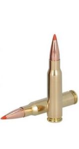 .308 win 11.7g/180gr fusion tipped