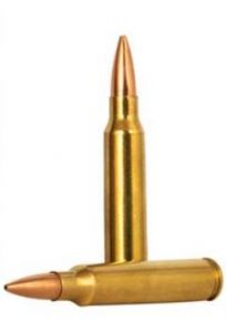 .223 rem 4.47g/69gr gold medal sierra matchking BTHP