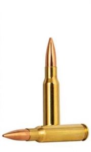 .308 win 10.8g/168gr gold medal sierra matchking bthp
