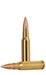 .308 win 10.8g/168gr gold medal centrstrike open tipped match