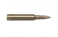 300 prc 14.25g/220gr golden target