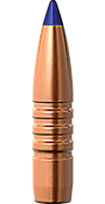 .7Rem mag  9.7g TTSX BT