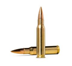 .308 win 10g/155gr golden target