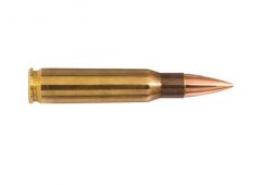 .308 win  9.7g/150gr range&training