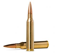 .338 lapua mag 16.2g/250gr golden target