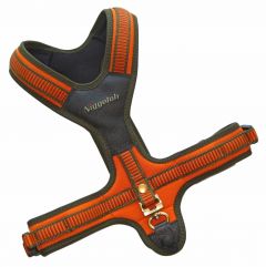 Dog Harness "Follow"