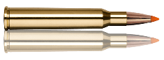 7x65R 10,4g Tipstrike