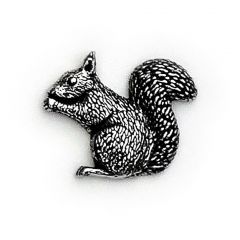 Badge sitting squirrel