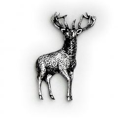 Badge stag 1