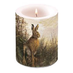 Candle Rabbit