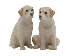 Salt and pepper set gold labrador