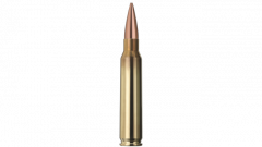 .223 rem 3.4g/52gr target hp