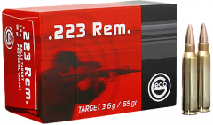 .223 rem 3.6g target