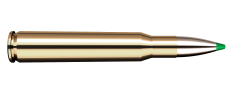 .308 Win 9,7g Ecostrike