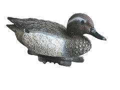 Чучела на уток Garganey самец