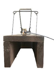 Marten trap (box)