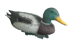 Duck Decoy Mallard, Male, Small