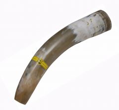 Deer call - horn (with CD)