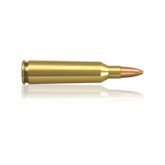 22-250 rem 3.6g/55gr jaktmatch fmj