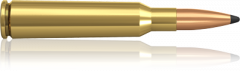 6.5x55 9.1g NP