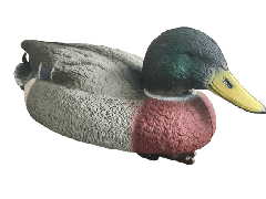 Duck Decoy Mallard, Male