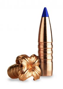 .284 140 gr TTSX