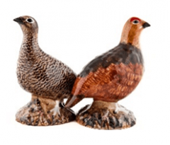 Salt and pepper duo Birds