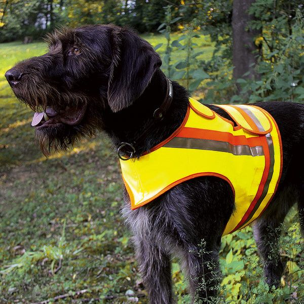 Reflective vest for dogs